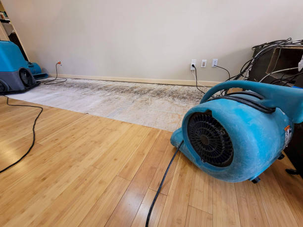 Professional Flood Damage Cleanup technician working in Jacksonburg, WV